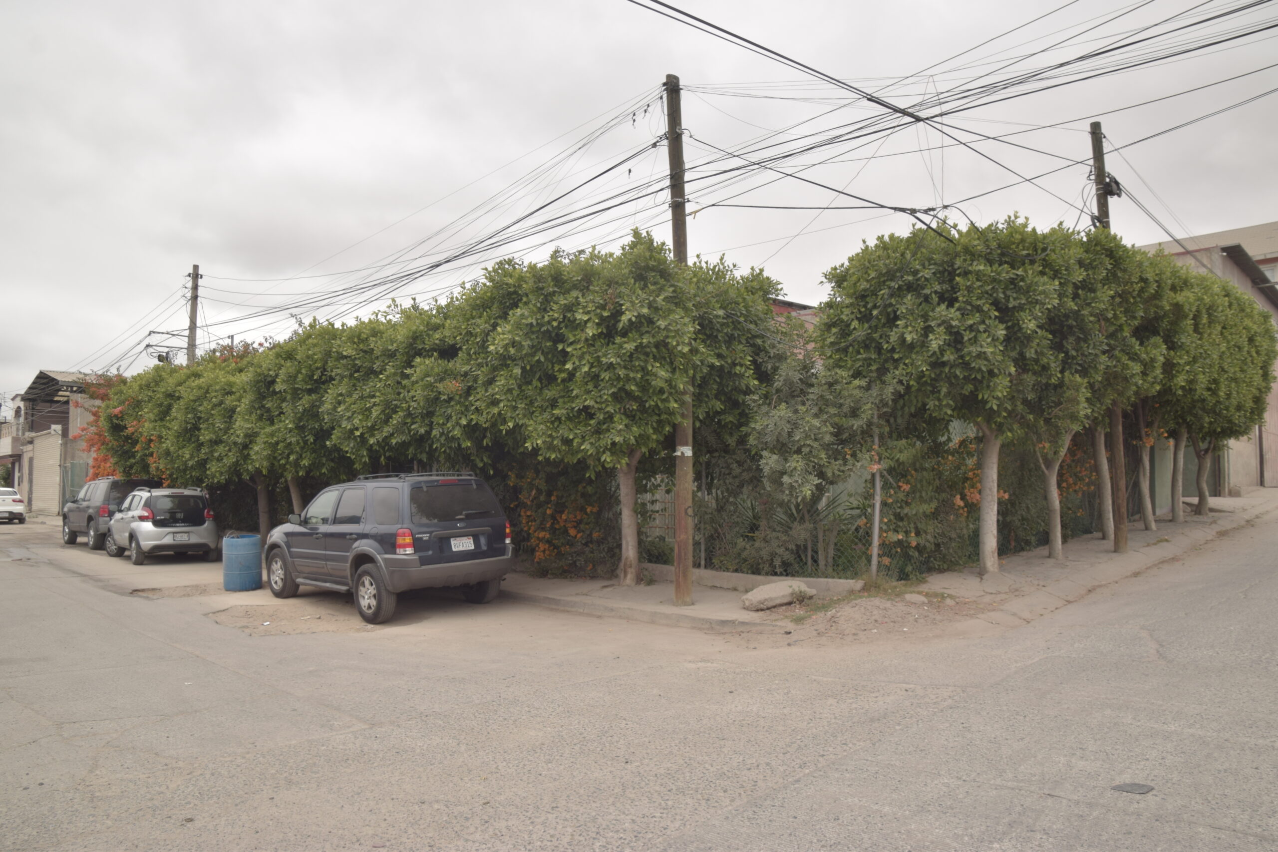 3 CASAS Y DOS TERRENOS EN OTAY MAGISTERIAL